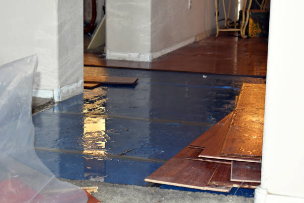 Professional Sewage Cleanup technician working in Shepherd, TX